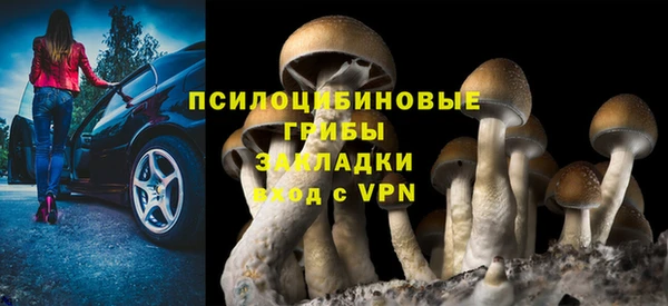 дурь Армянск